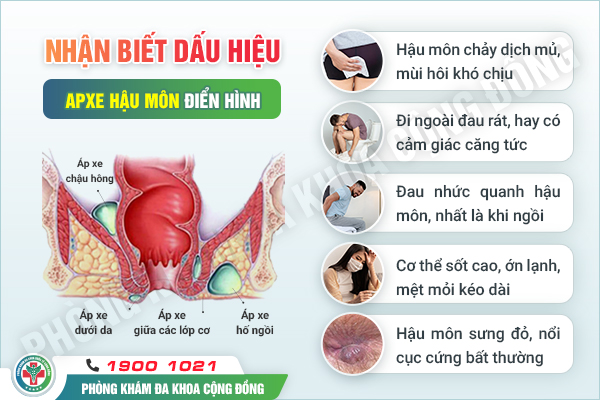 [Chuyên gia giải đáp] Táo bón ra máu lâu ngày có nguy hiểm không?