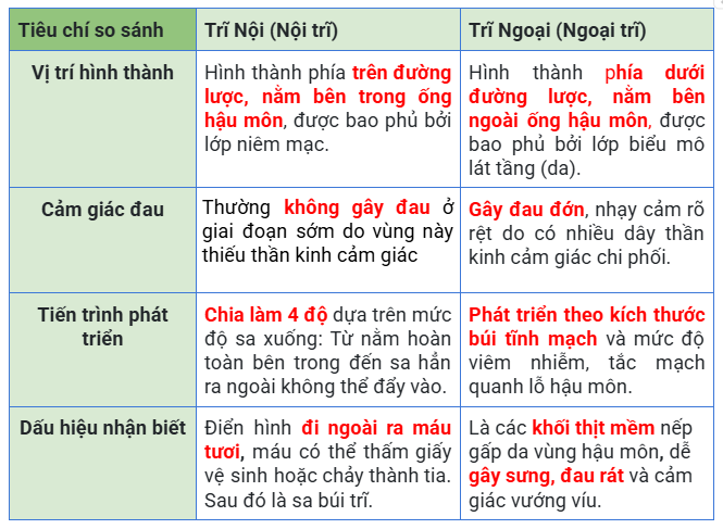 Phân biệt trĩ nội trĩ ngoại – Khác biệt bạn cần biết trước khi điều trị